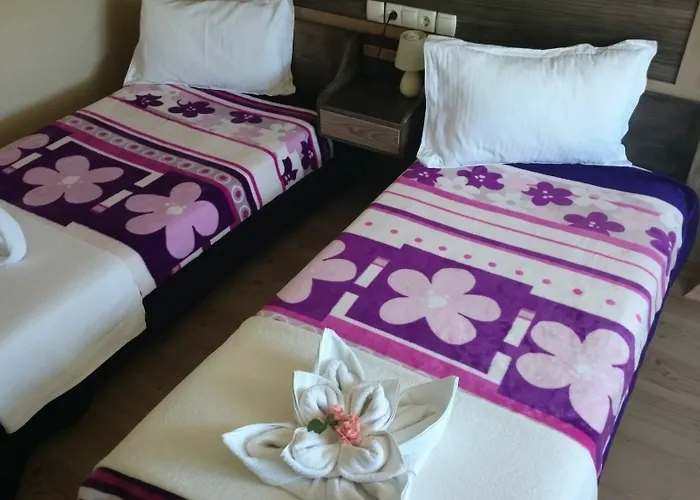 Wallabies Aquaduct Hotel Selcuk