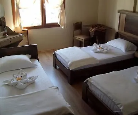 Wallabies Aquaduct Hotel Selçuk