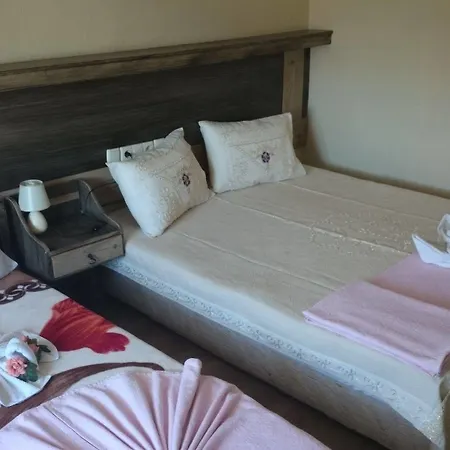 Hotel Wallabies Aquaduct Selçuk