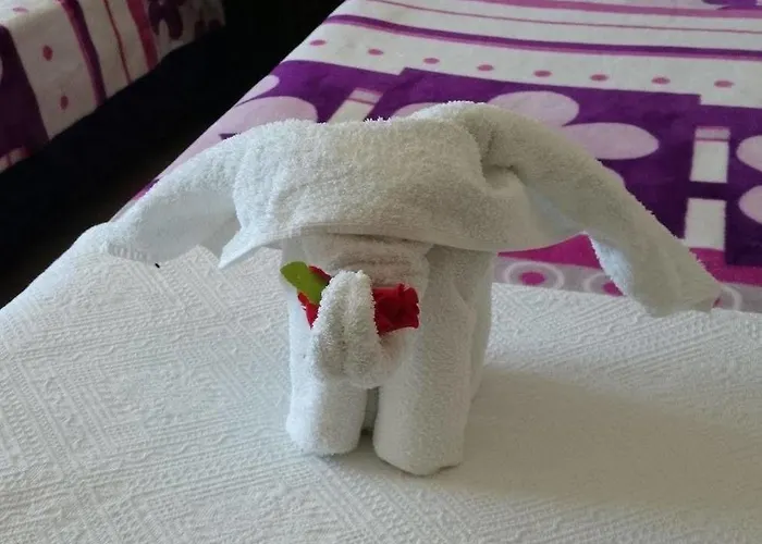 Wallabies Aquaduct Hotel Selçuk