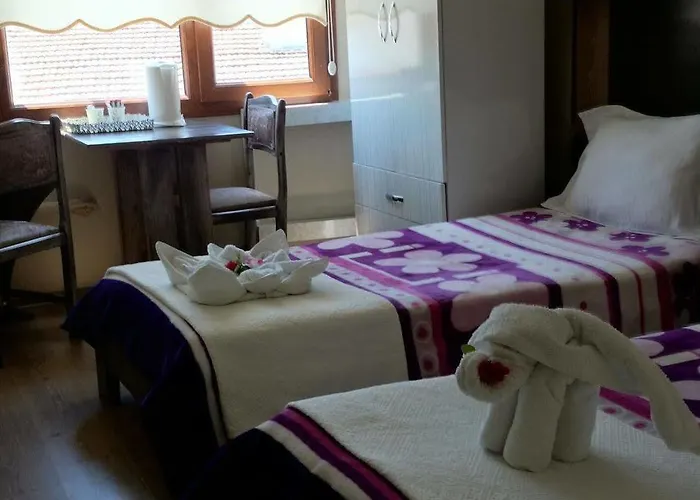 Hotel Wallabies Aquaduct Selçuk