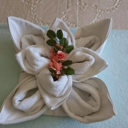 Wallabies Aquaduct Selcuk