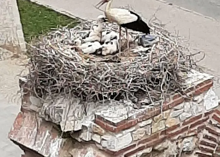 Wallabies Aquaduct Otel Selçuk